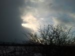 ansicht-1- zwischen licht und dunkel ....jpg